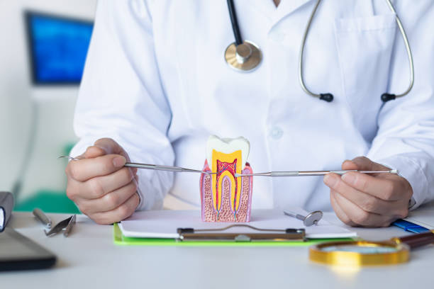 Trusted NV Emergency Dentist Experts